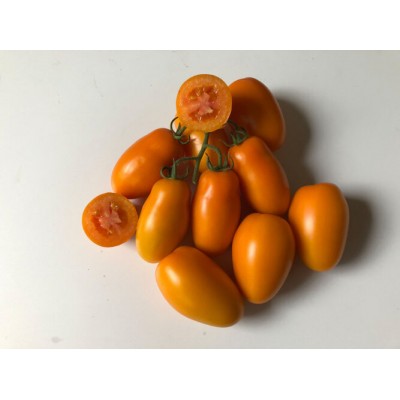 Семена томата индетерминантного Ремембе F1, ранний, (250 сем.) Lark Seeds